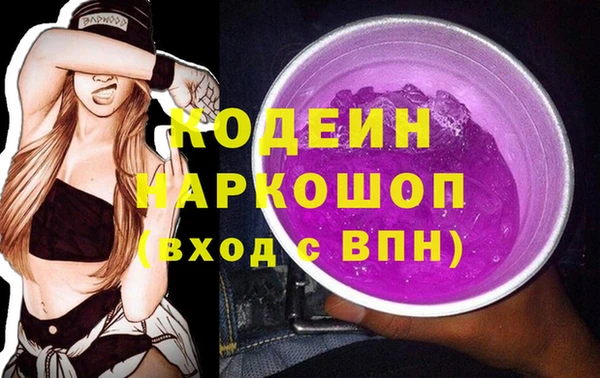 хмурый Алексин