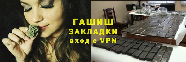 хмурый Алексин