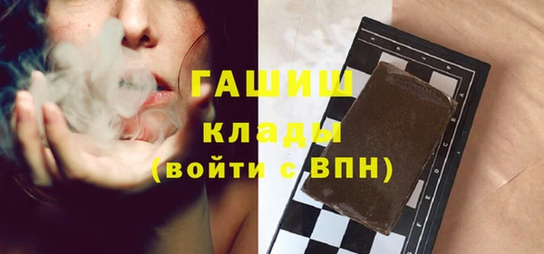 хмурый Алексин