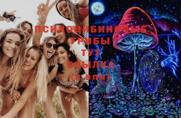 a pvp Алзамай