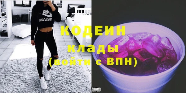 хмурый Алексин