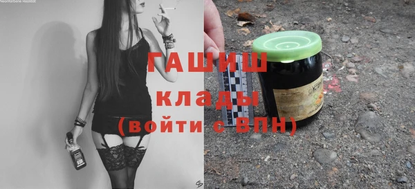 хмурый Алексин