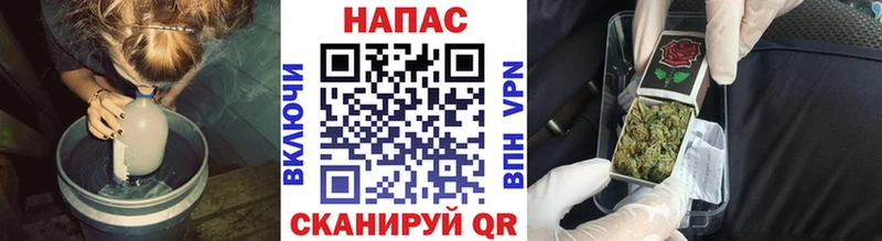 Бошки Шишки конопля  Мураши 